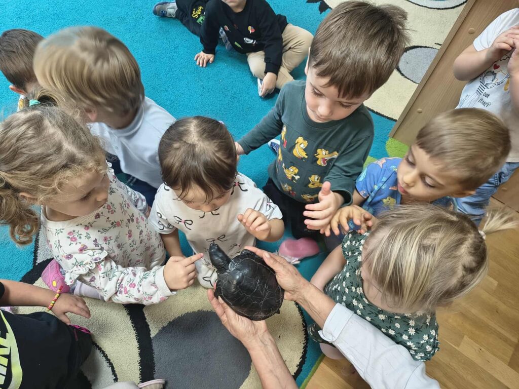 Spotkanie z żółwiem