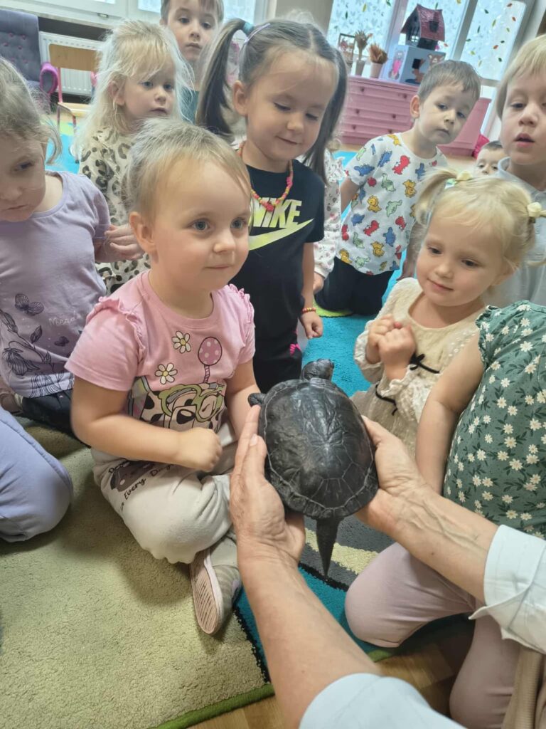 Spotkanie z żółwiem