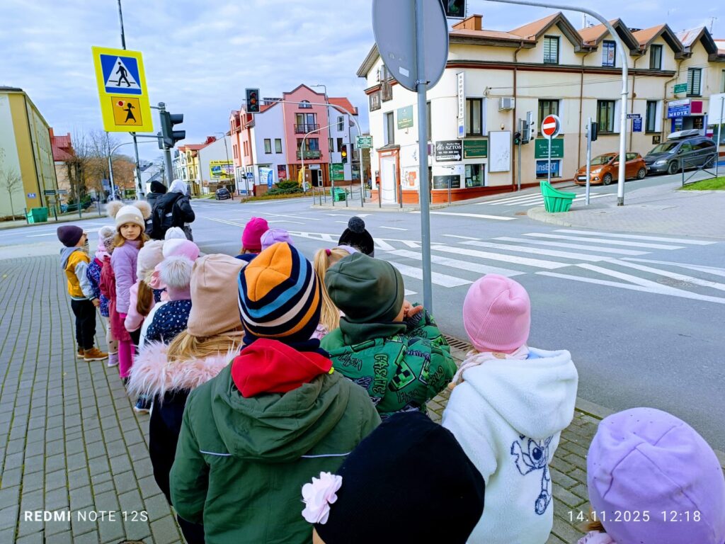 "Bezpieczeństwo na drodze". Krótka lekcja w terenie o bezpiecznym przechodzeniu przez przejścia dla pieszych.