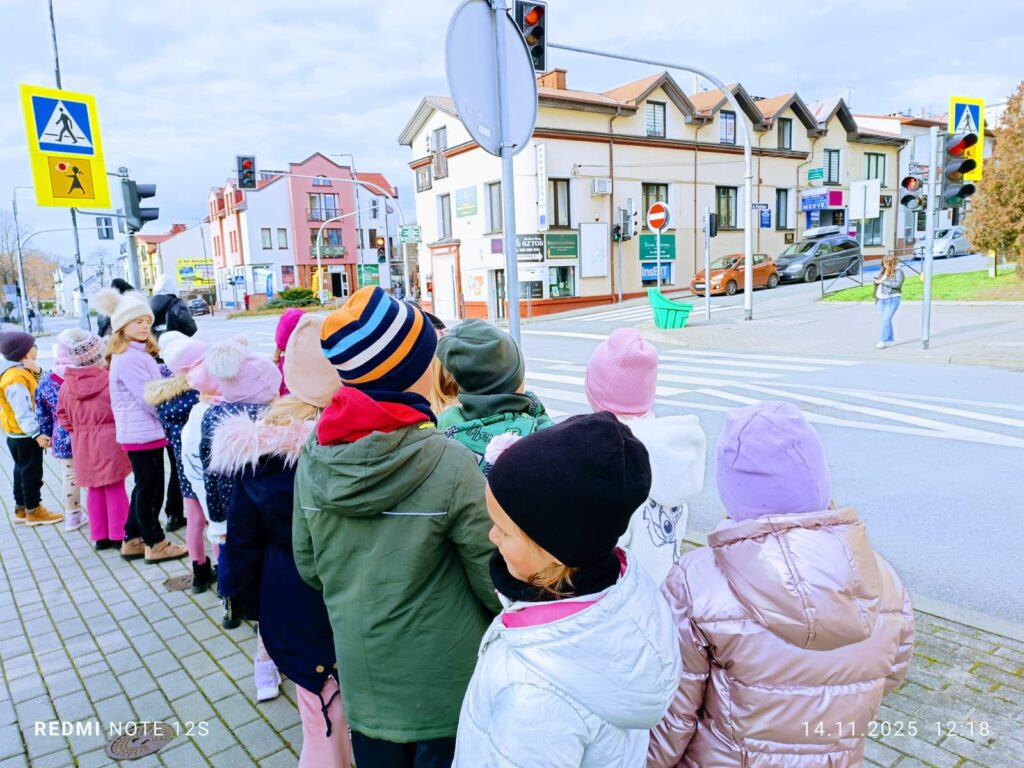"Bezpieczeństwo na drodze". Krótka lekcja w terenie o bezpiecznym przechodzeniu przez przejścia dla pieszych.