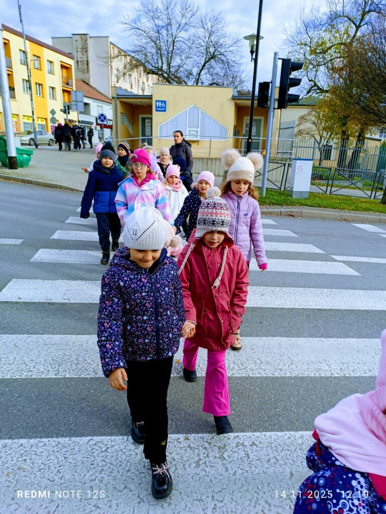 "Bezpieczeństwo na drodze". Krótka lekcja w terenie o bezpiecznym przechodzeniu przez przejścia dla pieszych.