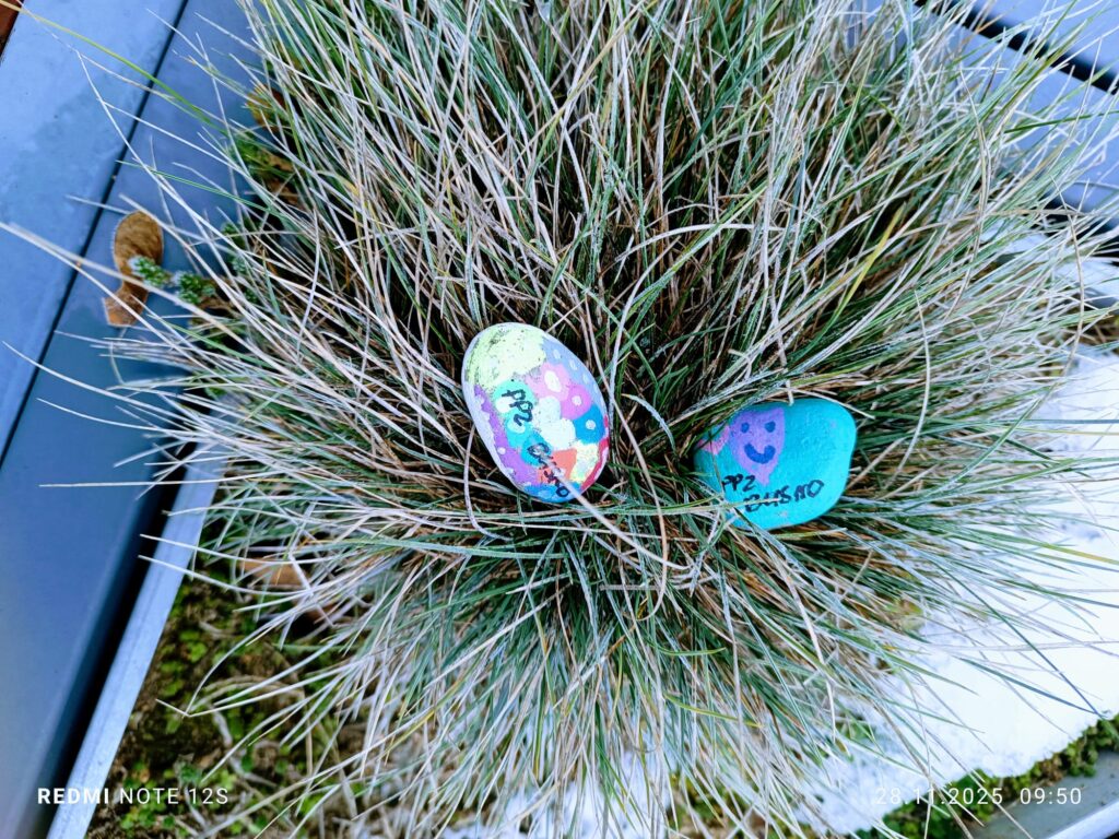 "Motylki" wykonują misję specjalną.