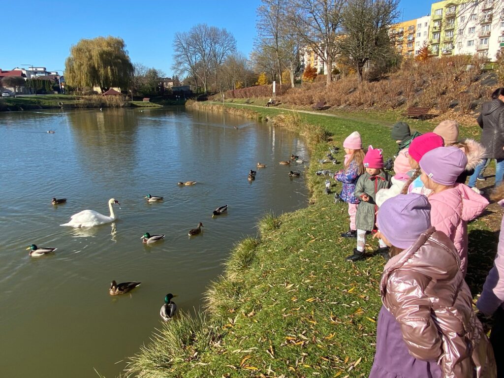 Spacer nad staw - dokarmianie ptaków w grupie "Motylki".