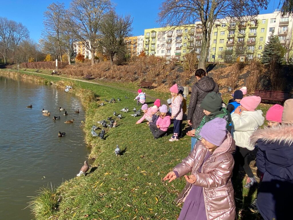 Spacer nad staw - dokarmianie ptaków w grupie "Motylki".
