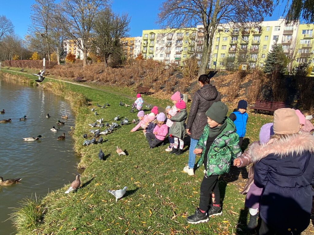 Spacer nad staw - dokarmianie ptaków w grupie "Motylki".