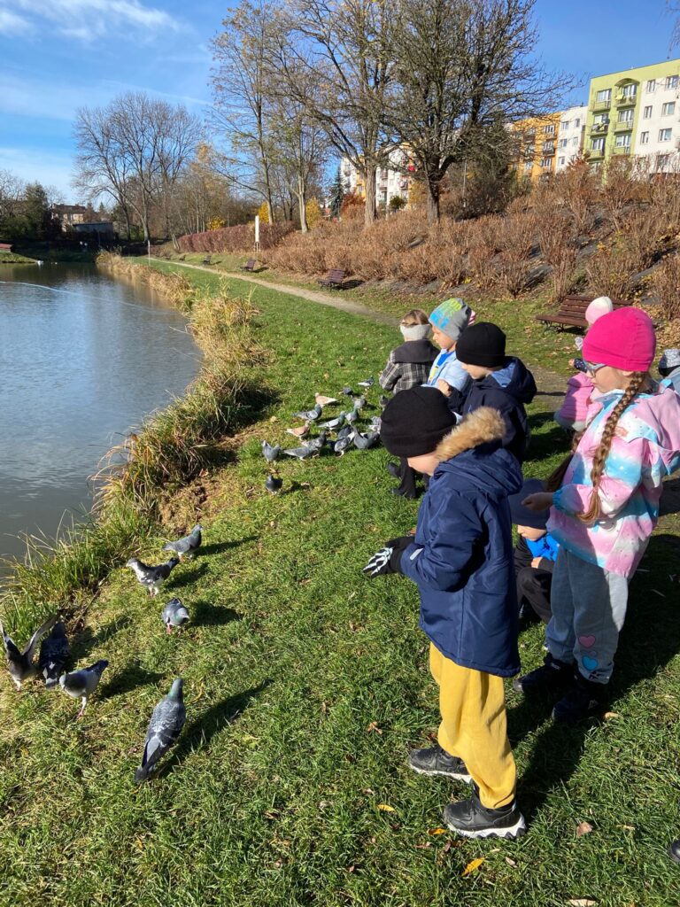 Spacer nad staw - dokarmianie ptaków w grupie "Motylki".
