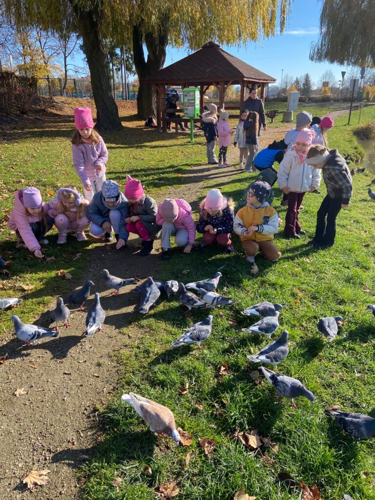Spacer nad staw - dokarmianie ptaków w grupie "Motylki".