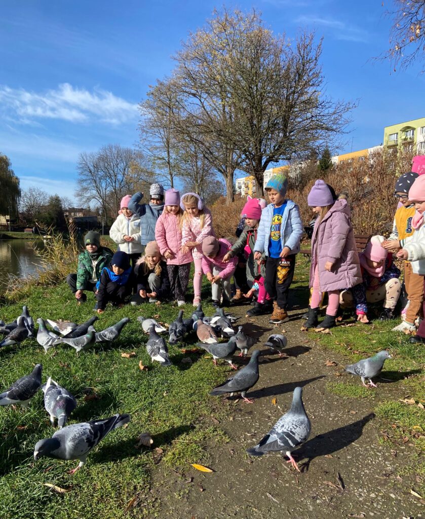 Spacer nad staw - dokarmianie ptaków w grupie "Motylki".