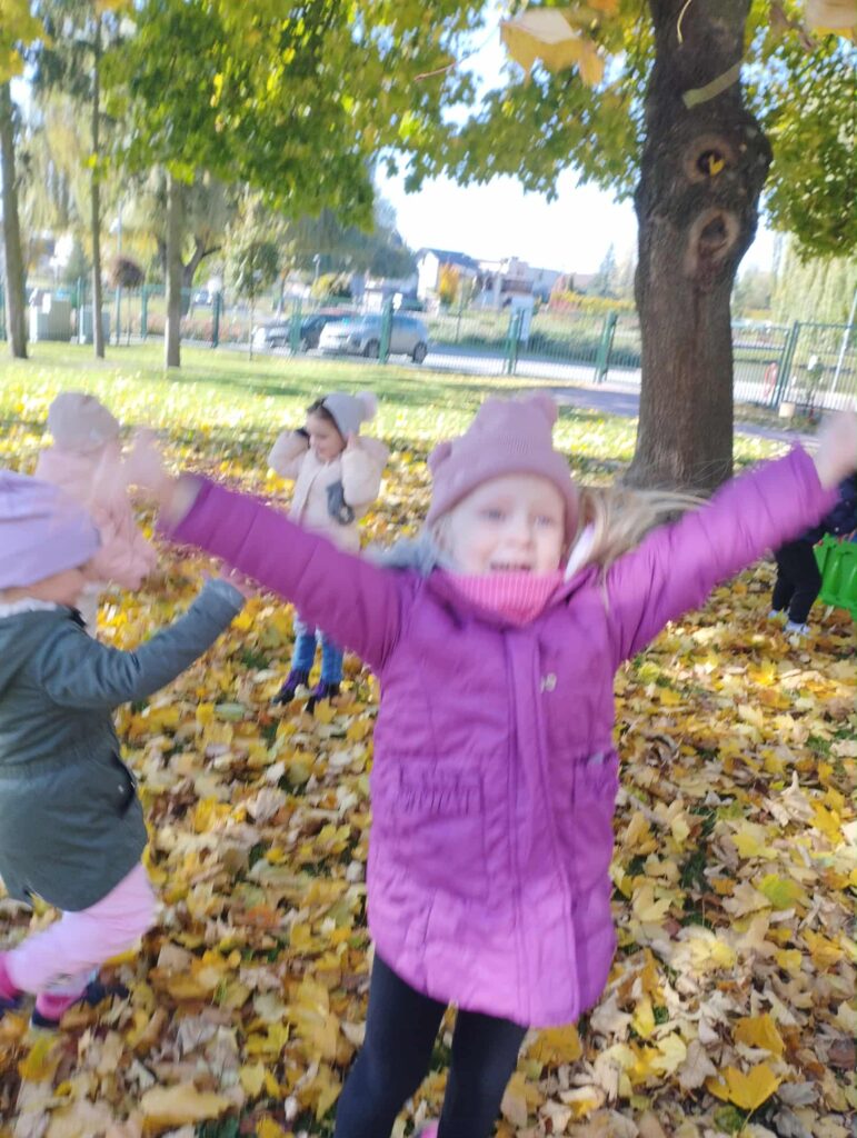 POSZUKIWANIE DARÓW JESIENI- GRUPA PAPUŻKI