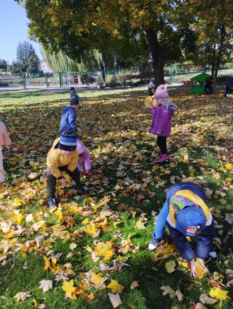 POSZUKIWANIE DARÓW JESIENI- GRUPA PAPUŻKI