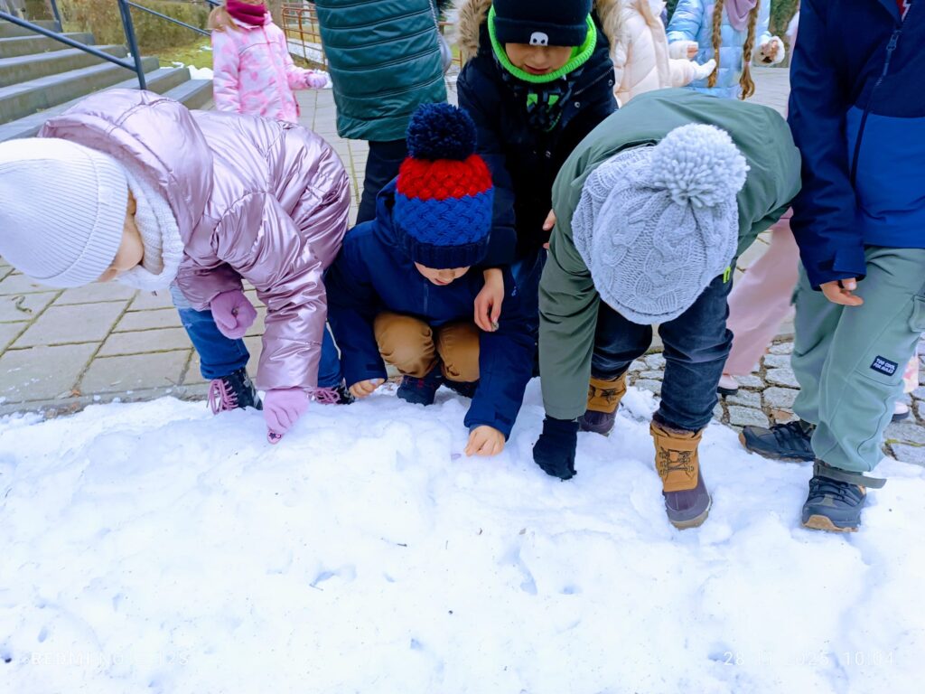 "Motylki" wykonują misję specjalną.