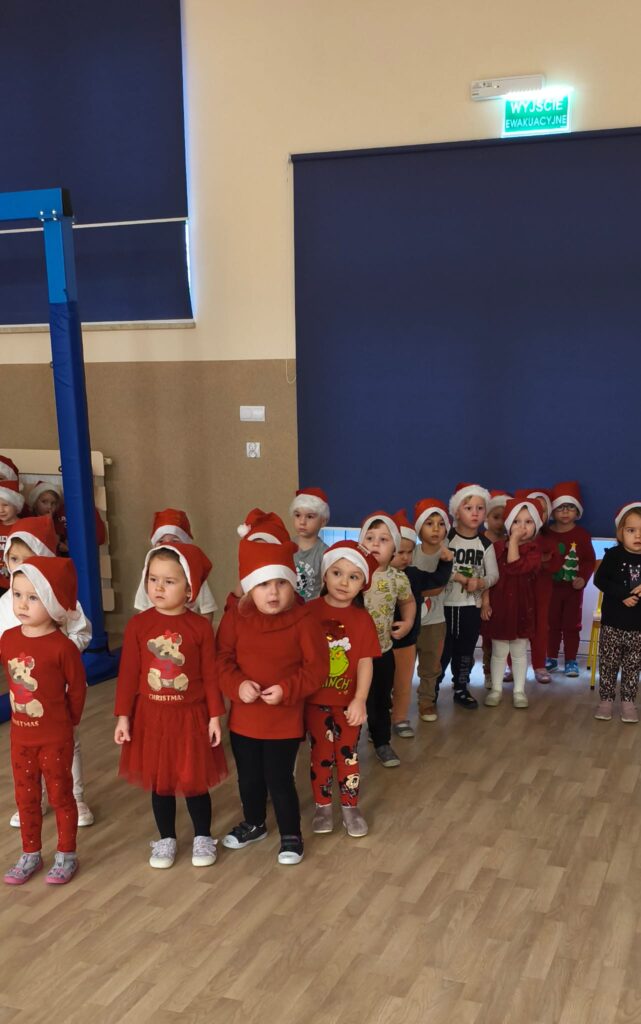 WYŚCIGI MIKOŁAJÓW