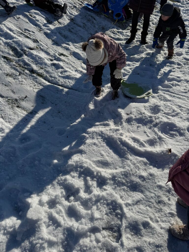 Zimowa Aktywność z "Biedronkami"                                   i "Sówkami".
