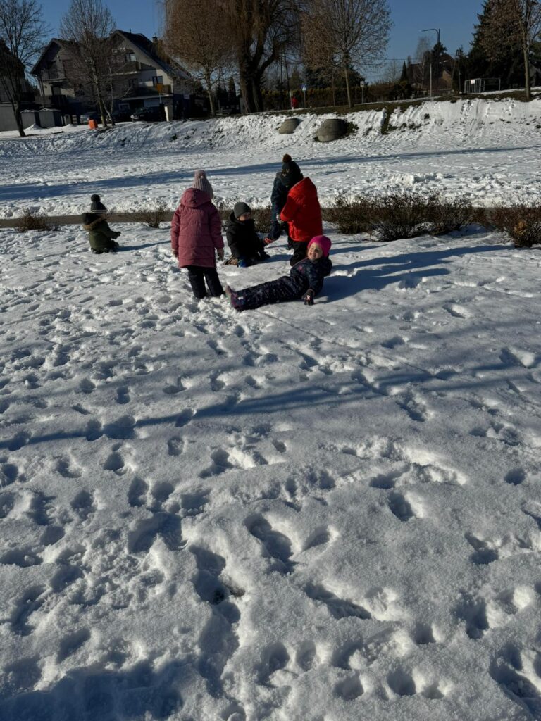Zimowa Aktywność z "Biedronkami"                                   i "Sówkami".