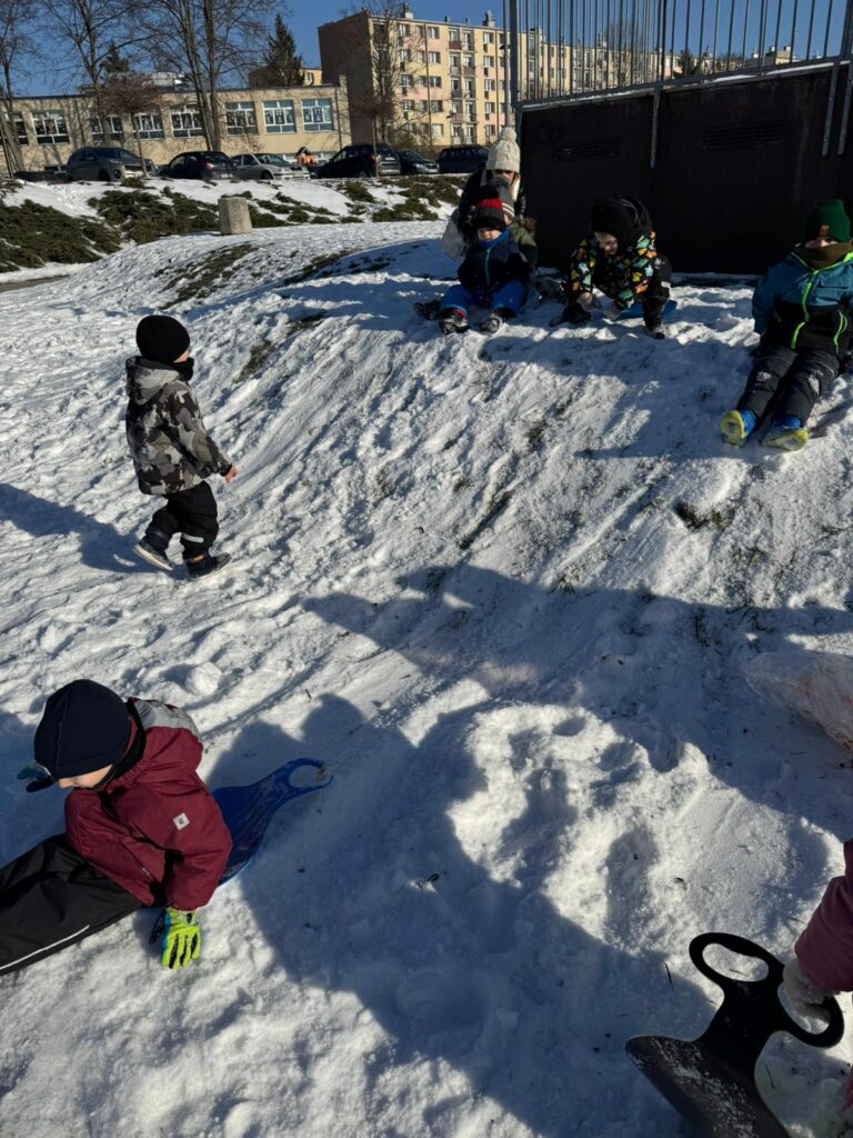 Zimowa Aktywność z "Biedronkami"                                   i "Sówkami".