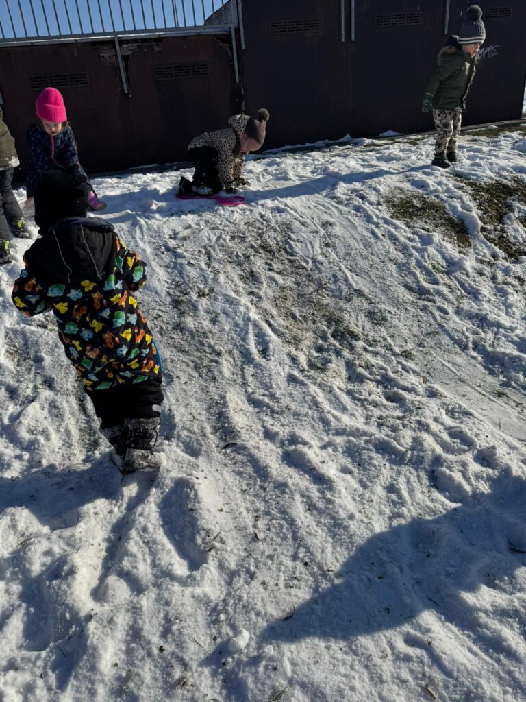 Zimowa Aktywność z "Biedronkami"                                   i "Sówkami".