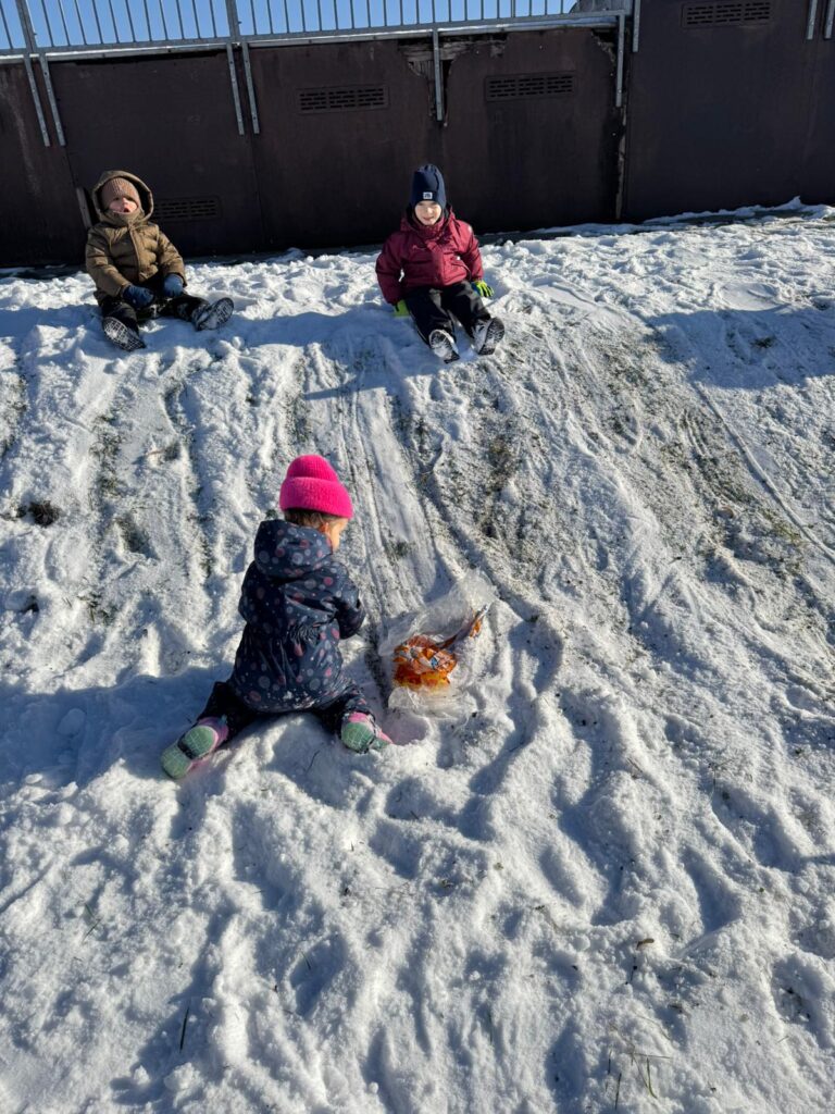 Zimowa Aktywność z "Biedronkami"                                   i "Sówkami".