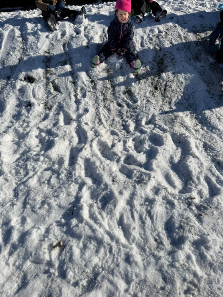 Zimowa Aktywność z "Biedronkami"                                   i "Sówkami".