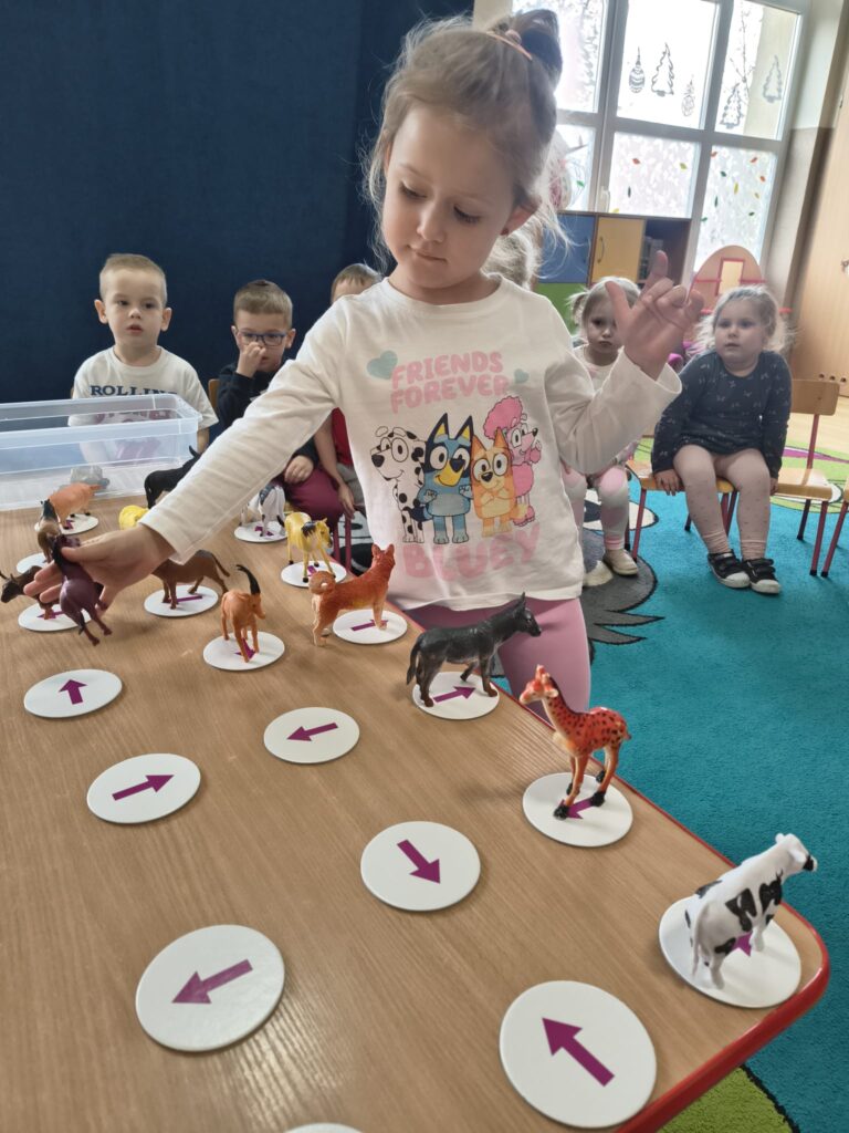 Codzienne zajęcia, gry i zabawy