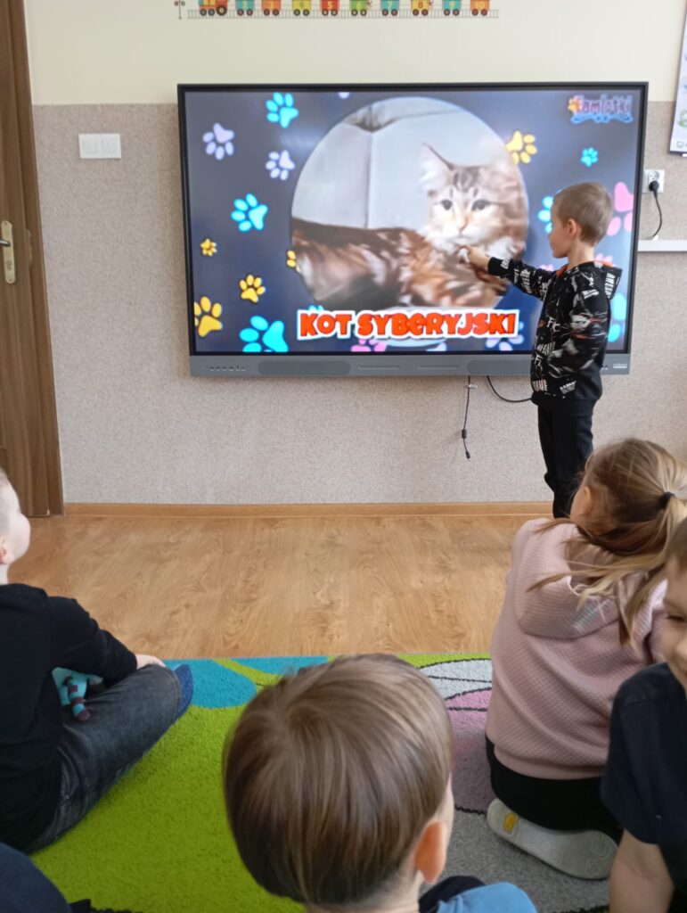 Dzień Kota w grupie "Pszczółki".