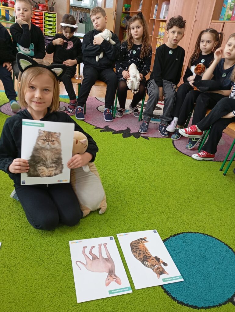 Dzień Kota w grupie "Pszczółki".