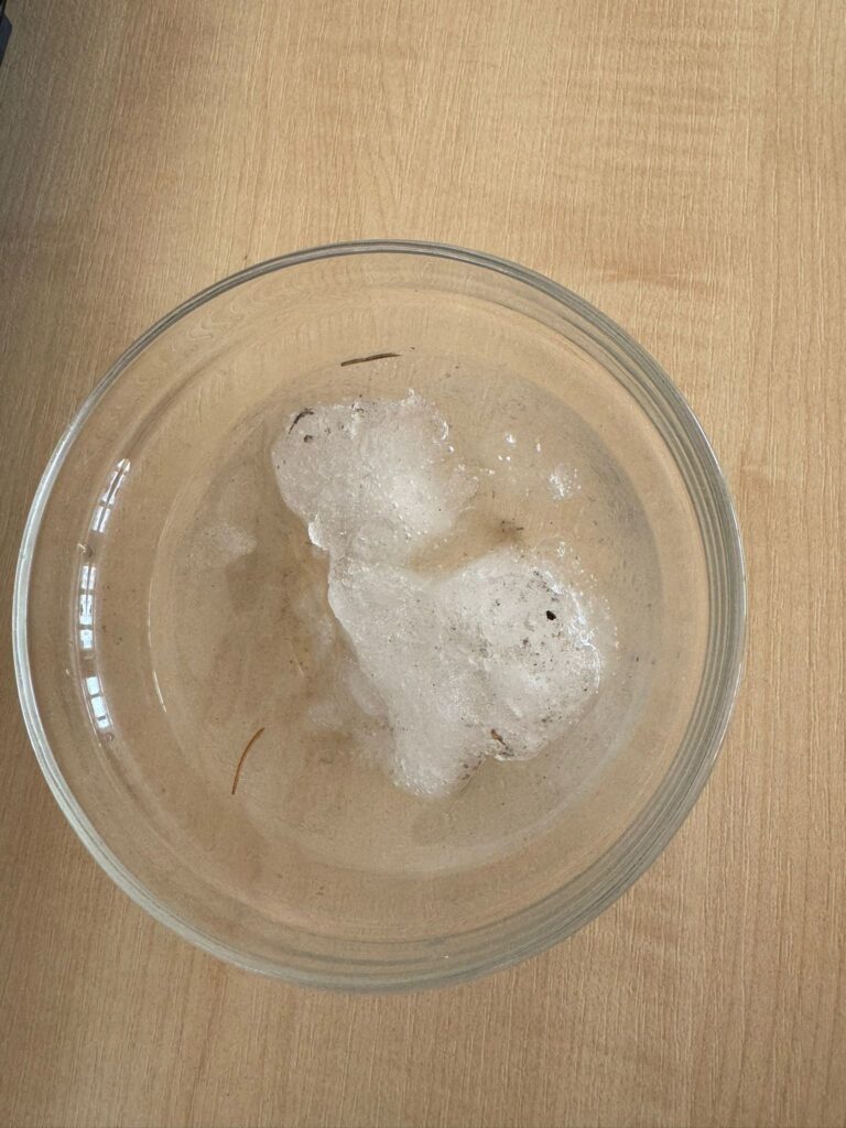 CZY ŚNIEG JEST CZYSTY?