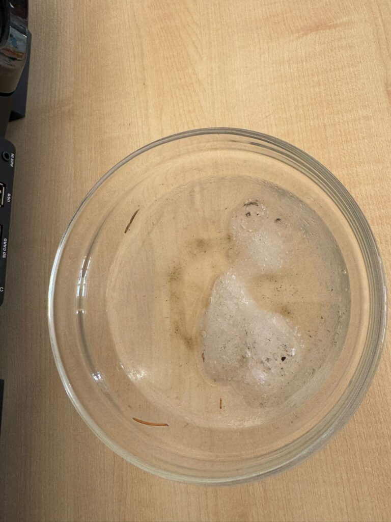 CZY ŚNIEG JEST CZYSTY?