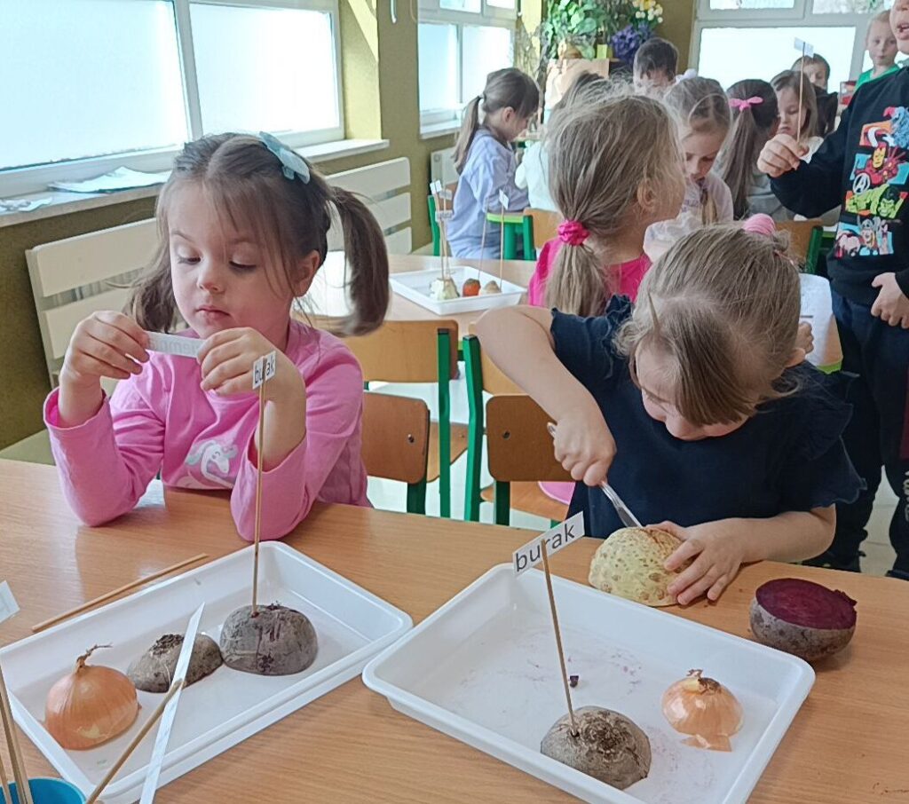 EKSPERYMENTY Z WARZYWAMI - GRUPA TYGRYSKI 