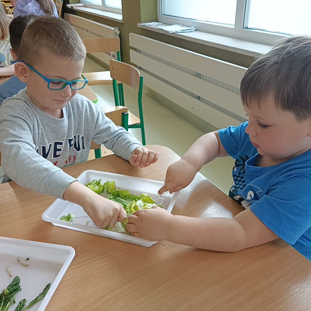 EKSPERYMENTY Z WARZYWAMI - GRUPA TYGRYSKI 