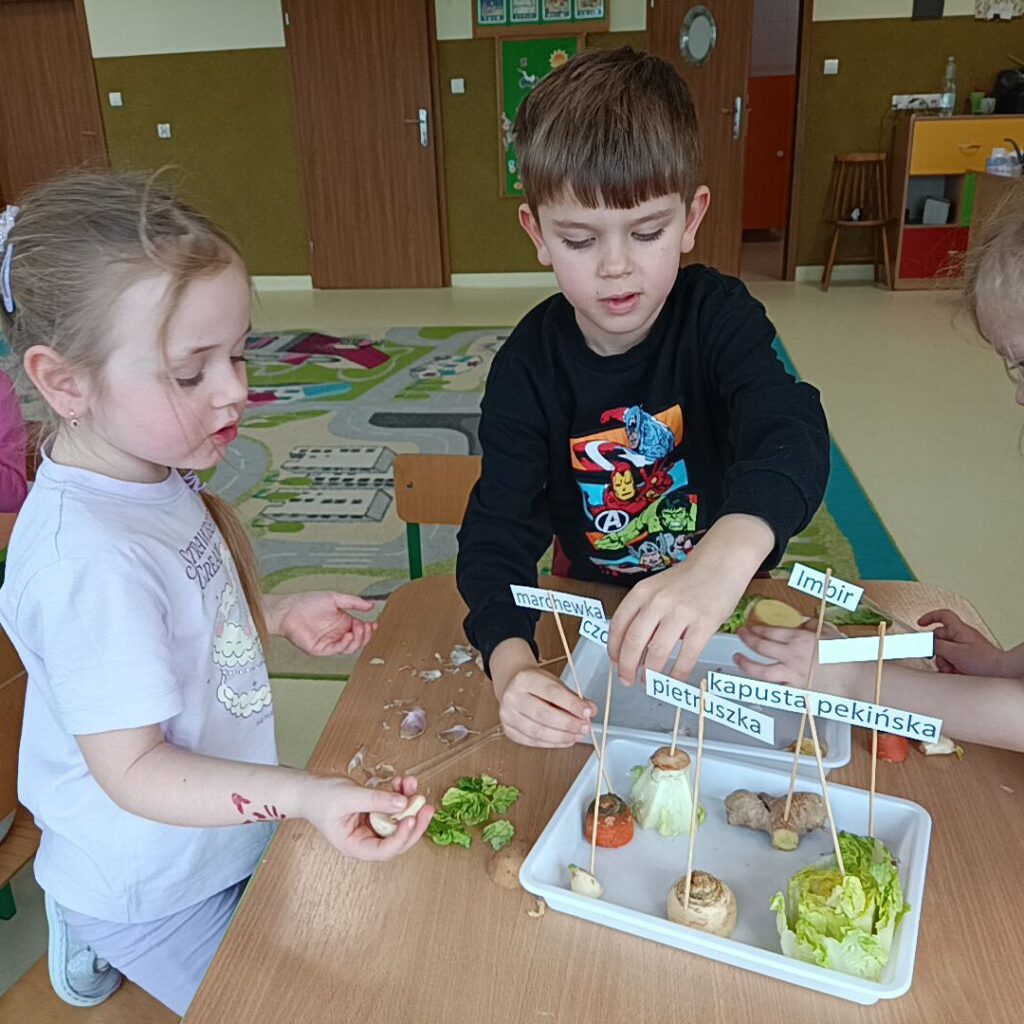 EKSPERYMENTY Z WARZYWAMI - GRUPA TYGRYSKI 