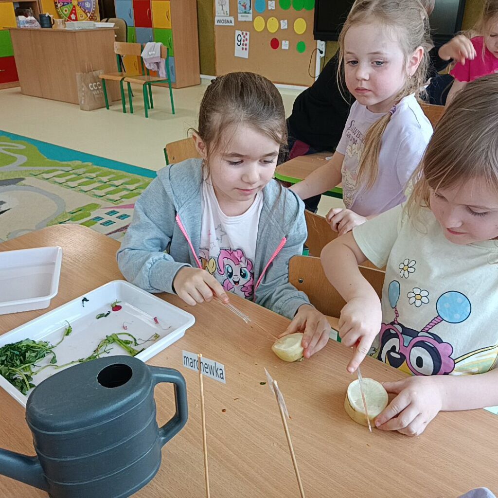 EKSPERYMENTY Z WARZYWAMI - GRUPA TYGRYSKI 