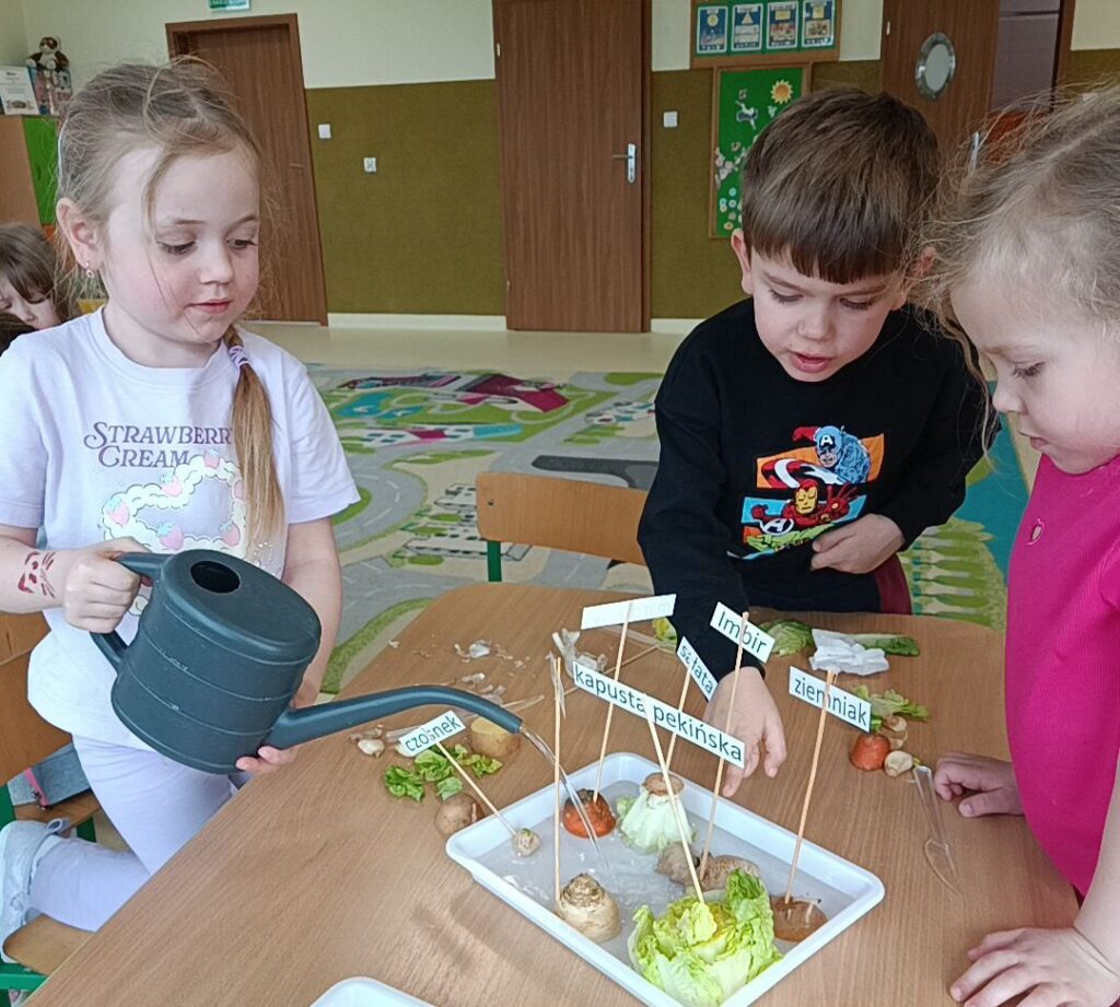 EKSPERYMENTY Z WARZYWAMI - GRUPA TYGRYSKI 