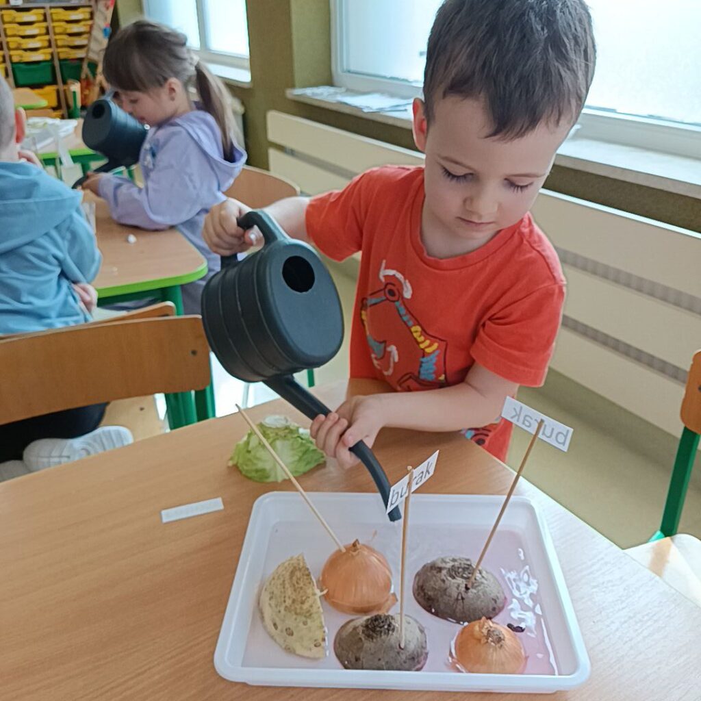 EKSPERYMENTY Z WARZYWAMI - GRUPA TYGRYSKI 