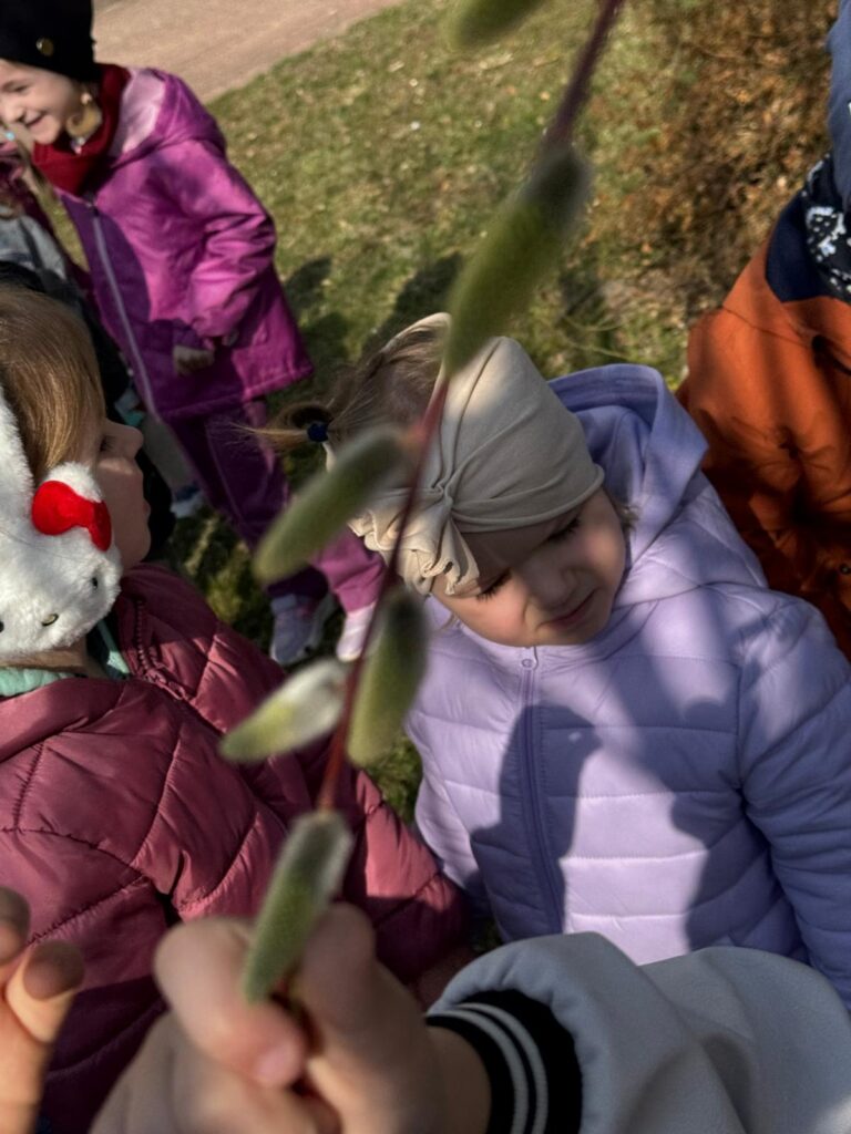 Kwitną bazie wierzbowe