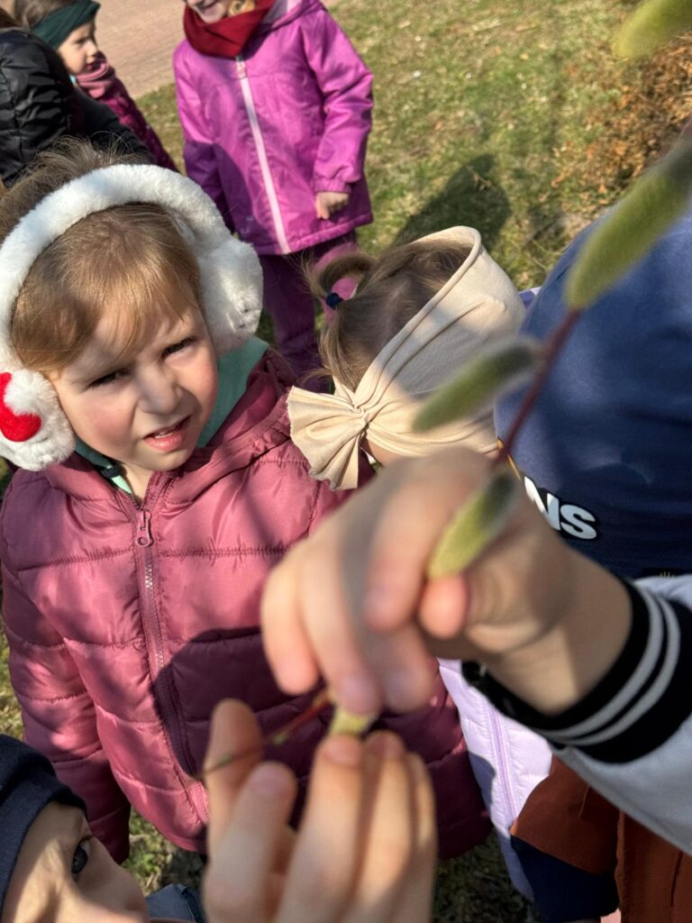 Kwitną bazie wierzbowe