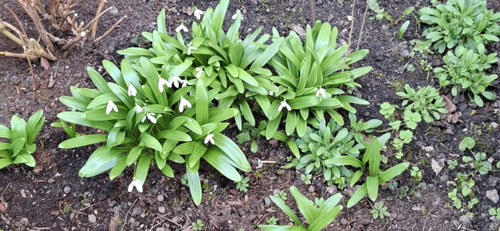 "Wiewiórki" w poszukiwaniu Wiosny.