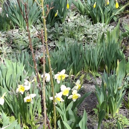 "Wiewiórki" w poszukiwaniu Wiosny.