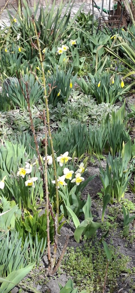 "Wiewiórki" w poszukiwaniu Wiosny.