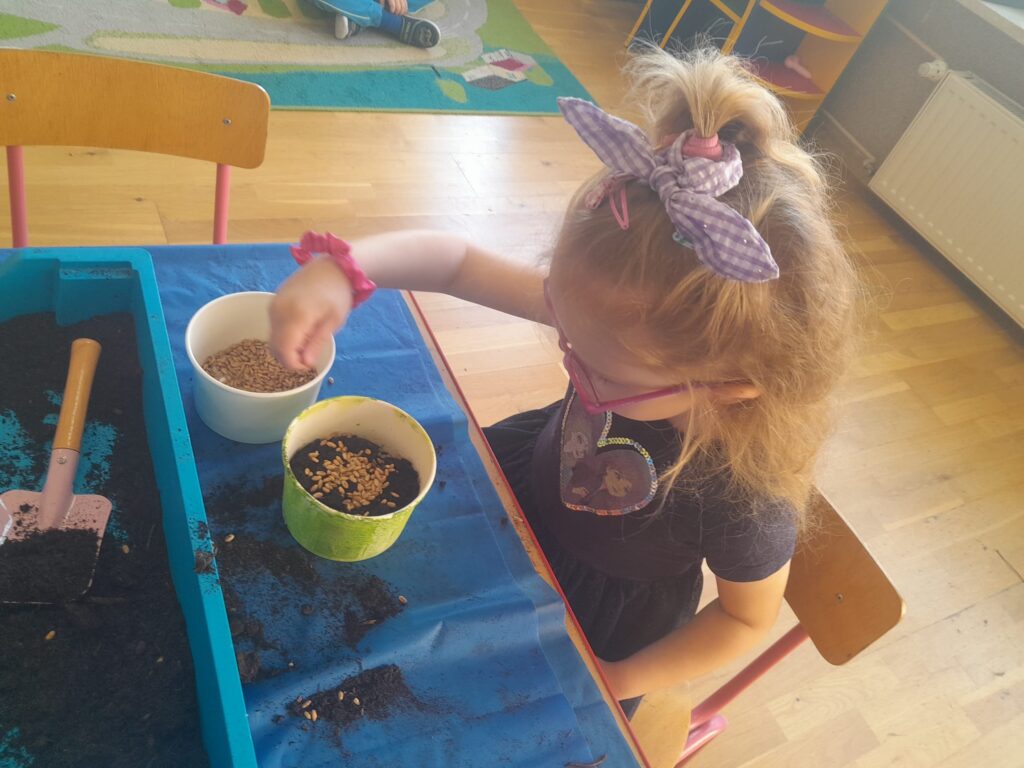 Zakładamy zielony ogródek