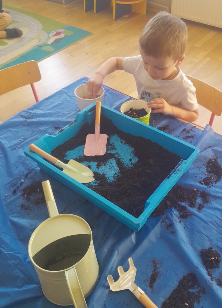 Zakładamy zielony ogródek