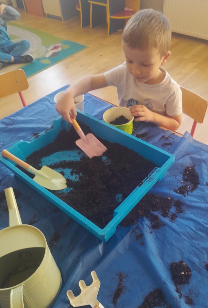 Zakładamy zielony ogródek