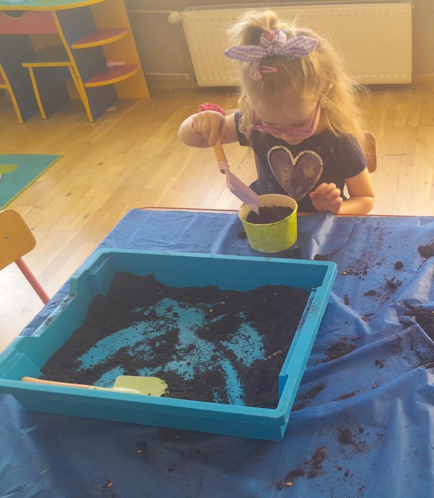 Zakładamy zielony ogródek