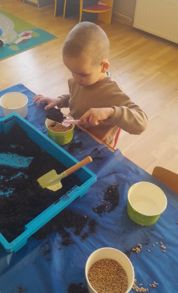 Zakładamy zielony ogródek