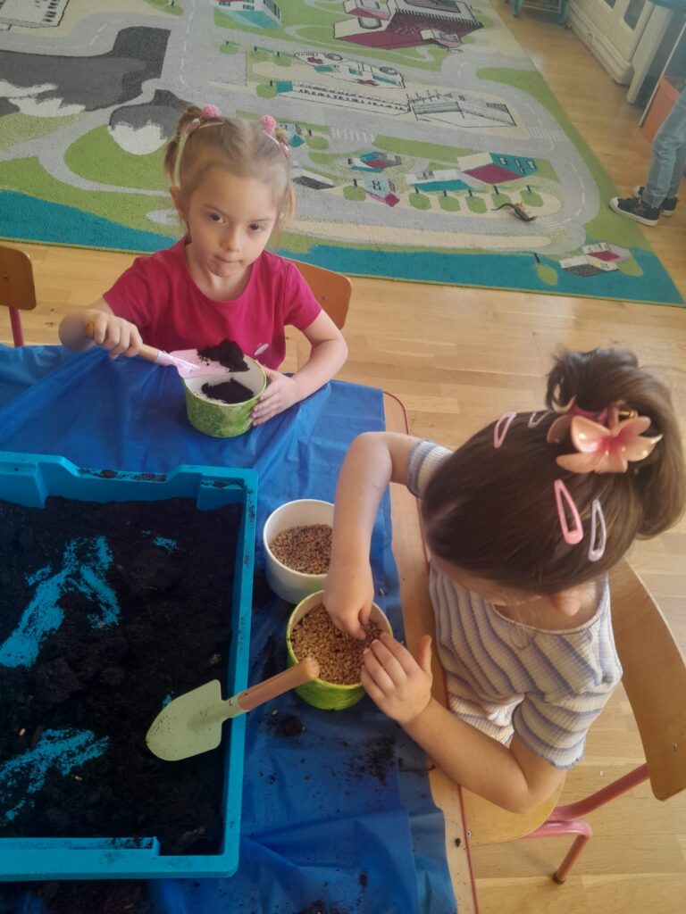 Zakładamy zielony ogródek