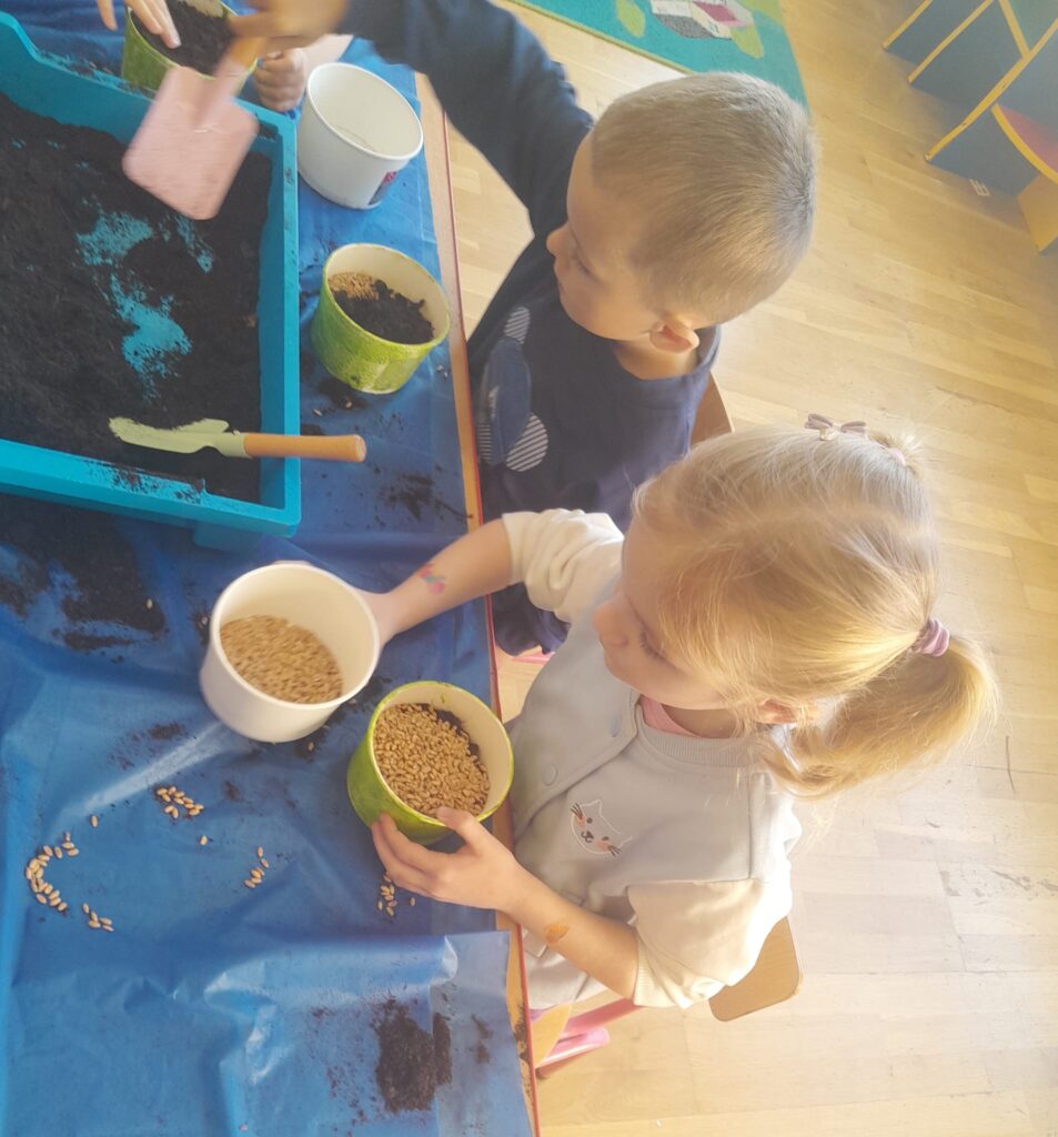 Zakładamy zielony ogródek