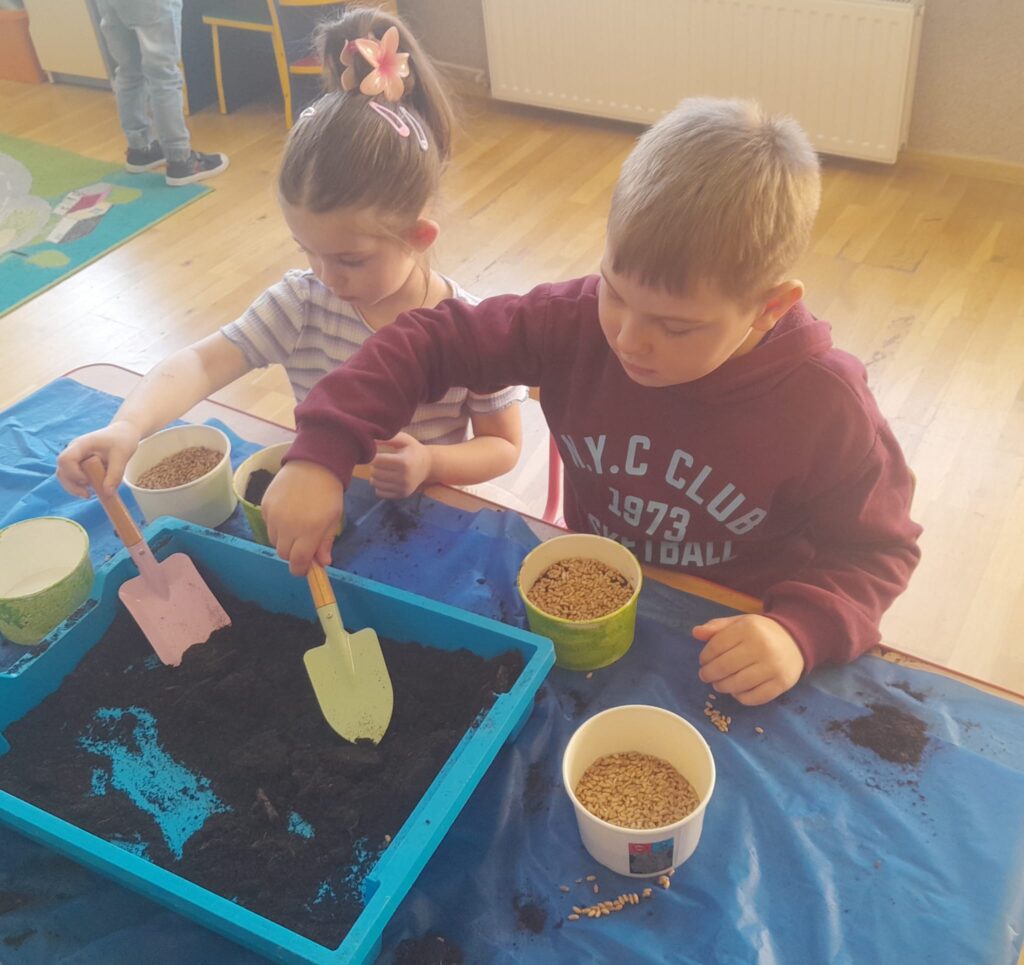 Zakładamy zielony ogródek