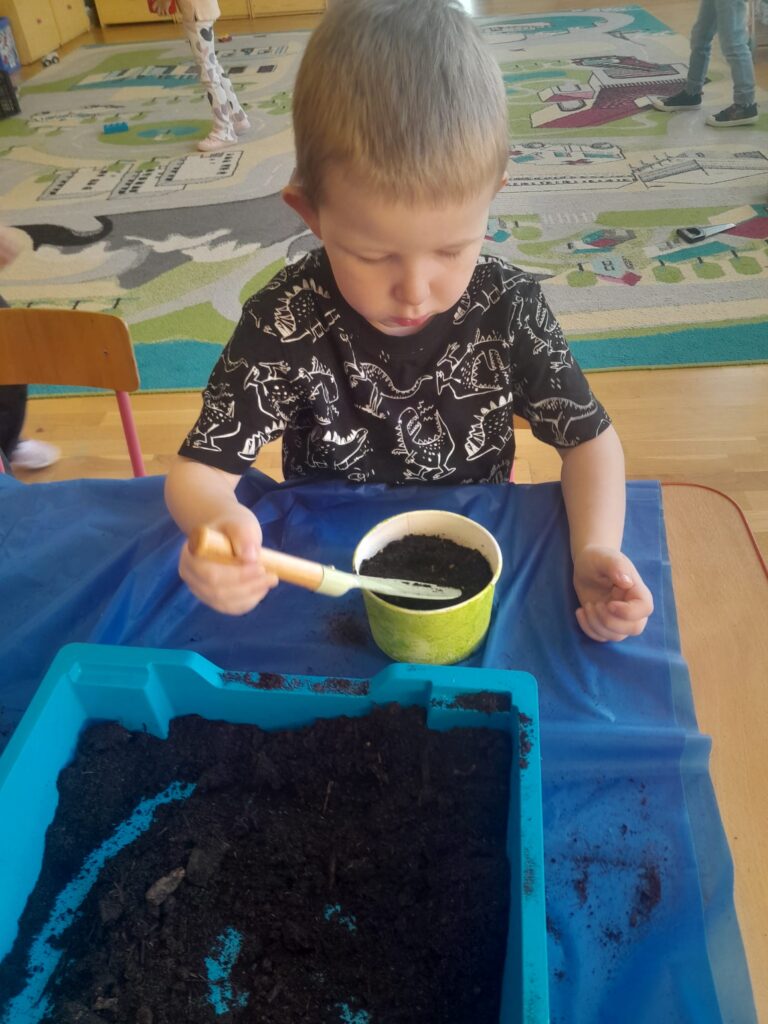 Zakładamy zielony ogródek