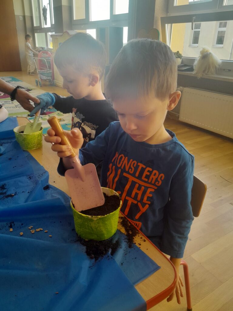 Zakładamy zielony ogródek