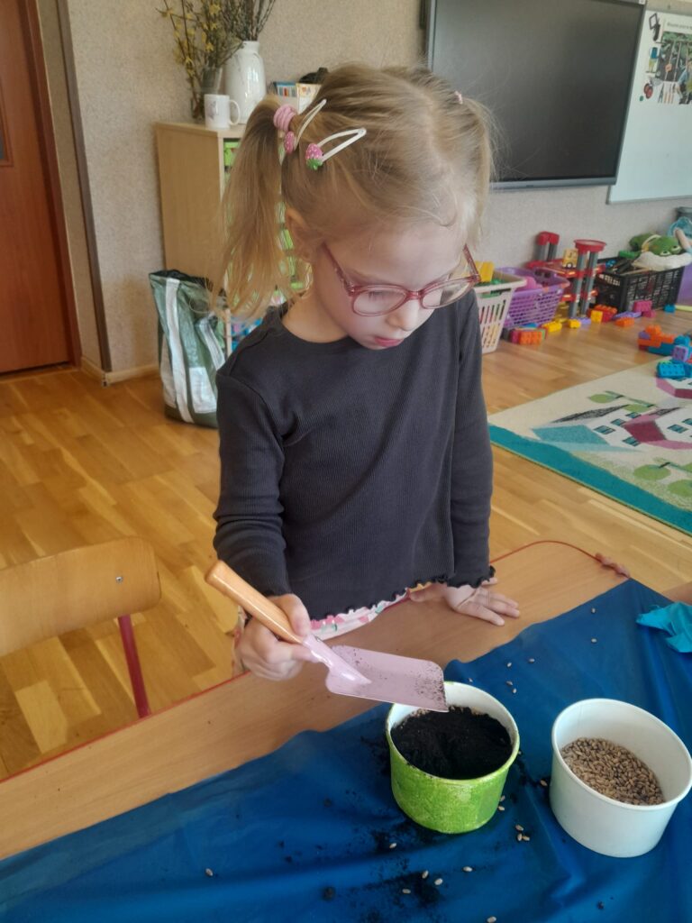 Zakładamy zielony ogródek