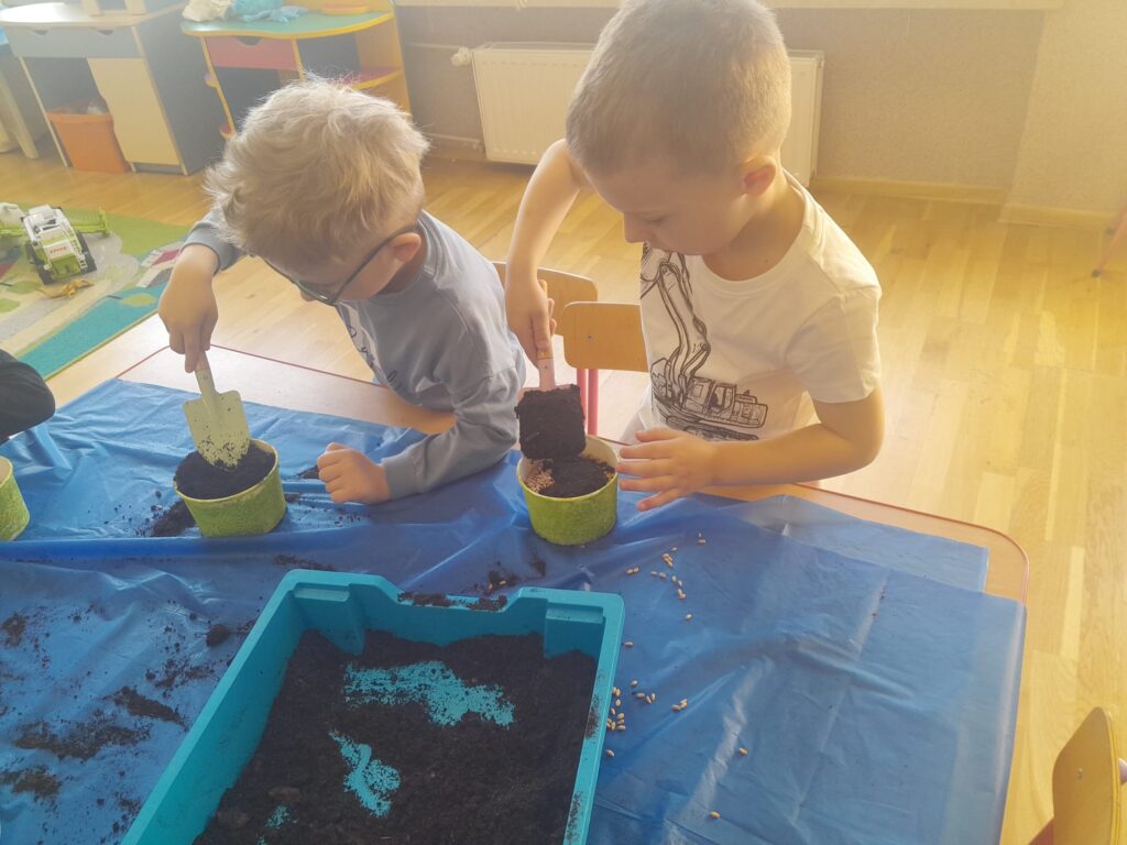 Zakładamy zielony ogródek